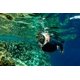 thumbnail image 4 of Máscara de snorkel OCEAN REEF Aria QR blanca L/XL, 4 of 6