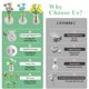 thumbnail image 5 of Imanes de mini jarrón ZOYVUX, lindos para el refrigerador con flores (paquete de 5), 5 of 7