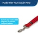 thumbnail image 2 of Correa PetSafe de nailon para perros, 1 pulgada x 6 pies, resistente y duradera, roja, 2 of 6