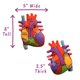 thumbnail image 4 of Peluche de Corazón GIANT MICROBES 20 cm – Modelo Anatómico, 4 of 9
