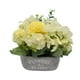 thumbnail image 4 of Planta Artificial Macetero De Cemento Flowers And Plants beige, 4 of 8
