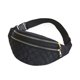 thumbnail image 1 of Riñonera Impermeable Para Mujer, Con Correa Ajustable, Ideal Para Viajes, Deportes, Correr, Festivales Y Actividades Al Aire Libre., 1 of 6