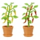 thumbnail image 4 of Mini Collectibles Miniverse Make It Mini Nature Series 3 de MGA, 4 of 6