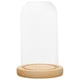 thumbnail image 5 of Soporte De Cubierta De Cúpula De Vidrio Transparente Con Decoración De Almacenamiento De Exhibición De Base De Madera 7x12cm, 5 of 5