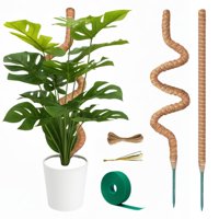 Barra De Musgo Para Soporte De Plantas Monstera Surppo, Paquete De 2 Unidades, 70 Cm