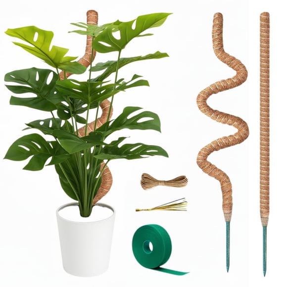 Barra de musgo para soporte de plantas Monstera SURPPO, paquete de 2 unidades, 70 cm