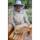 thumbnail image 2 of Cera de abeja SWAMPLAND BEES & CO, 2 lb, barras puras amarillas, 2 of 9