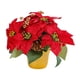 thumbnail image 1 of Planta De Navidad Artificial Poinsettia, Poinsettia Roja En Maceta Para Fiesta En Interiores, 1 of 5