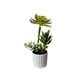 thumbnail image 3 of Mini Suculentas Decorativas Artificiales Con Macetero 3 Uni., 3 of 5
