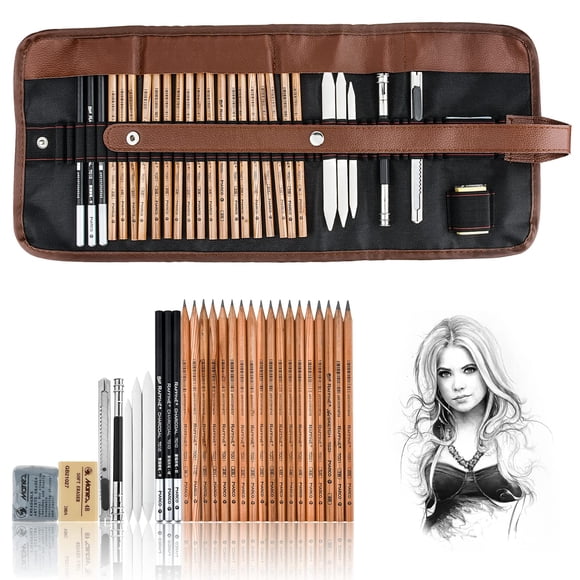 Juego De Bocetos De Lápices De Dibujo Art Supplies Con Estuche