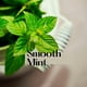 thumbnail image 3 of Bálsamo Labial 37423 Nfl Washington Commanders Spf 15 Paquete De 2, 3 of 5