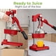 thumbnail image 3 of Exprimidor Manual de Hierro Fundido Zulay Kitchen de Alta Resistencia, 3 of 9