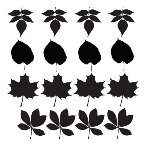 Rienda Libre Graphics - Decomural Leaf Group Set Ws-33278