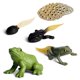 thumbnail image 1 of Figuras Gemini&Genius Life Cycle of Frog para niños de más de 3 años, 1 of 9