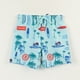 thumbnail image 1 of Traje de baño Niño Celeste Full Print Verano Paw Patrol, 1 of 4