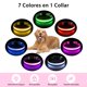 thumbnail image 2 of Collar para perro PcEoTllar L rosa iluminado y recargable, 2 of 7