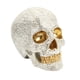 thumbnail image 2 of Decoración De Calavera De Halloween, Cabeza De Esqueleto Gótico Gótico Para Fiesta, Estantería, Jardín, 2 of 5