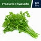 thumbnail image 2 of Cilantro Bolsa, 2 of 2