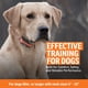 thumbnail image 3 of Collar electrónico impermeable Remote Trainer SportDog SportTrainer, 3 of 8
