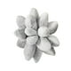 thumbnail image 1 of Throw Pillow Cojines Decorativos Para Dormir Cojines Divertidos Lovely Universal Para Sofá Gris, 1 of 5