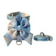 thumbnail image 4 of Juego De Arnés Y Correa Para Perros, Arnés Ajustable Para Perros, Accesorios Para Gatos, Azul, 4 of 5