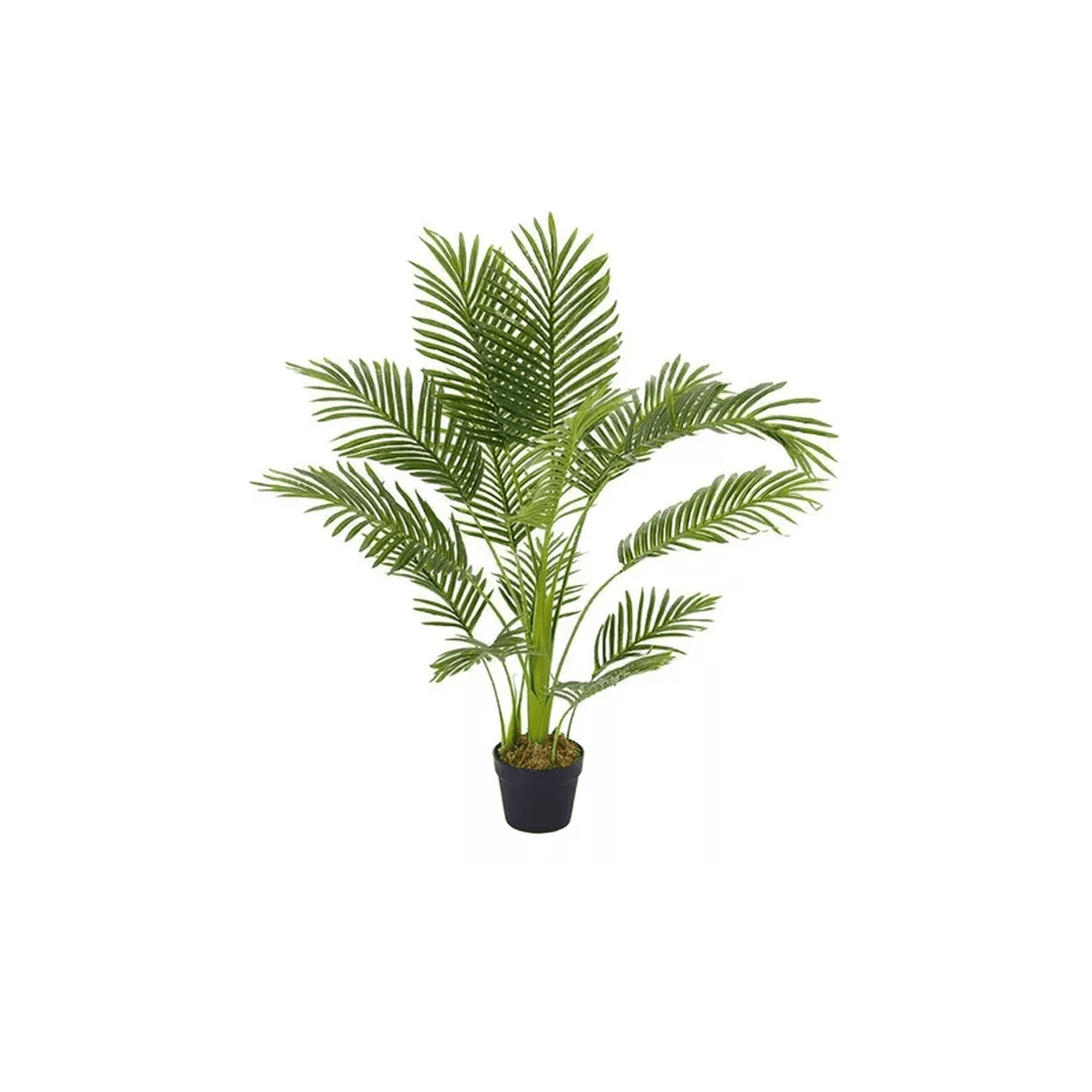 Genérico - Planta Artificial En Maceta Enredadera Palmera Decoración