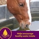 thumbnail image 4 of Electrolitos para caballos Farnam Horse Health Apple-Dex 2,27 kg, 4 of 9