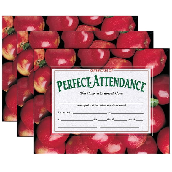 Certificado Flipside Hayes Publishing Perfect Attendance