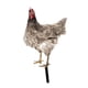 thumbnail image 1 of Estatua De Jardín De Pollo, Estaca, Adorno De Césped Para Gallina, Regalo Exterior, Patio De Gallo, Estilo Artístico A, 1 of 5