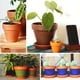 thumbnail image 2 of Set de 2 Maceta Kony 15cm Morena Natural y sus platos, 2 of 3