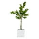 thumbnail image 2 of Árbol Limón Artificial Verde Decoración Moderna 120cm Jhn, 2 of 3