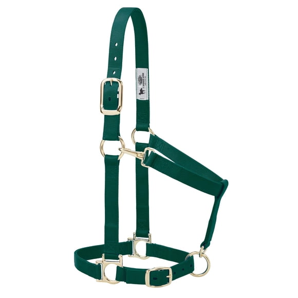 Cabezada para Caballo Weaver Equine Grande Ajustable 2,5 cm