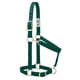 thumbnail image 1 of Cabezada para Caballo Weaver Equine Grande Ajustable 2,5 cm, 1 of 5