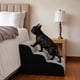 thumbnail image 2 of Escalera Rampa Mascotas 40cm 3 Escalones Suave Funda Lavable, 2 of 5