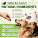 thumbnail image 5 of Multivitamínico masticable para perros Tciika 24 en 1, 200 unidades, 5 of 7