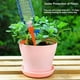 thumbnail image 3 of Pack 30 Estacas Riego Por Goteo Automatico Plantas Jardin, 3 of 3