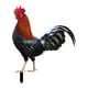thumbnail image 3 of Figuras De Estacas De Estatua De Animales De Gallo, Estaca De Gallina Para Decoración De Patio Y Césped, 3 of 5