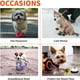 thumbnail image 5 of botas protectoras para patas de perro con correas reflectantes, antideslizantes, para perros pequeños y medianos (negro), 5 of 5