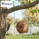 thumbnail image 4 of Bola nido para aves de lana de alpaca – Backyard Essentials, 4 of 6