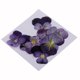 thumbnail image 2 of 10 Flores Prensadas Secas Para Manualidades De álbum De Recortes, Flores Violetas., 2 of 3