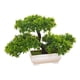thumbnail image 4 of Árbol de bonsái artificial, plantas de imitación, jardín Zen, decoración del hogar, simulación de mesa, pequeñas plantas falsas, árbol de pino en mace, 4 of 5