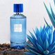 thumbnail image 4 of Perfume Fine Perfumery London Fragrances, agava azul y cacao, 100 ml, 4 of 8
