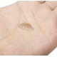 thumbnail image 5 of Piercing para la nariz en forma de L de acero inoxidable de 20 g, 1,5 mm, 2 mm, 2,5 mm y 3 mm, 8 unidades, 3 colores, 5 of 6