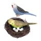 thumbnail image 3 of Figura De Huevo De Nido De Pájaro Loro En Miniatura Para Accesorios Exteriores Decoración Del Hogar C, 3 of 5