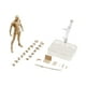 thumbnail image 5 of Conjunto De Cuerpo De Figuras De 15 Cm Con Soporte De Exhibición De Figura Para Decoración De Dormitorio Albaricoque Masculino, 5 of 5