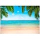 thumbnail image 1 of Fondo Ladvis 210 cm x 150 cm Fiesta de Playa en Hawái, 1 of 8