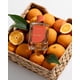 thumbnail image 5 of Perfume Michael Malul Siesta Key Eau de Parfum para mujer, 100 ml, 5 of 7