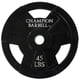 thumbnail image 1 of Placa de pesas Champion Barbell con empuñadura revestida de goma, 20 kg, 1 of 1