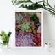 thumbnail image 4 of Plantas Suculentas Kits de Pintura de Diamantes para Adultos 5D DIY Diamond Art Kits Full Drill Diamond Dots para Regalo Decoración de Pared y Relajación Artes de Gemas 30*40cm, 4 of 6