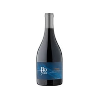 Vino Tinto Cabernet Franc Boya 13.5° Botella 750 Ml Garces Silva